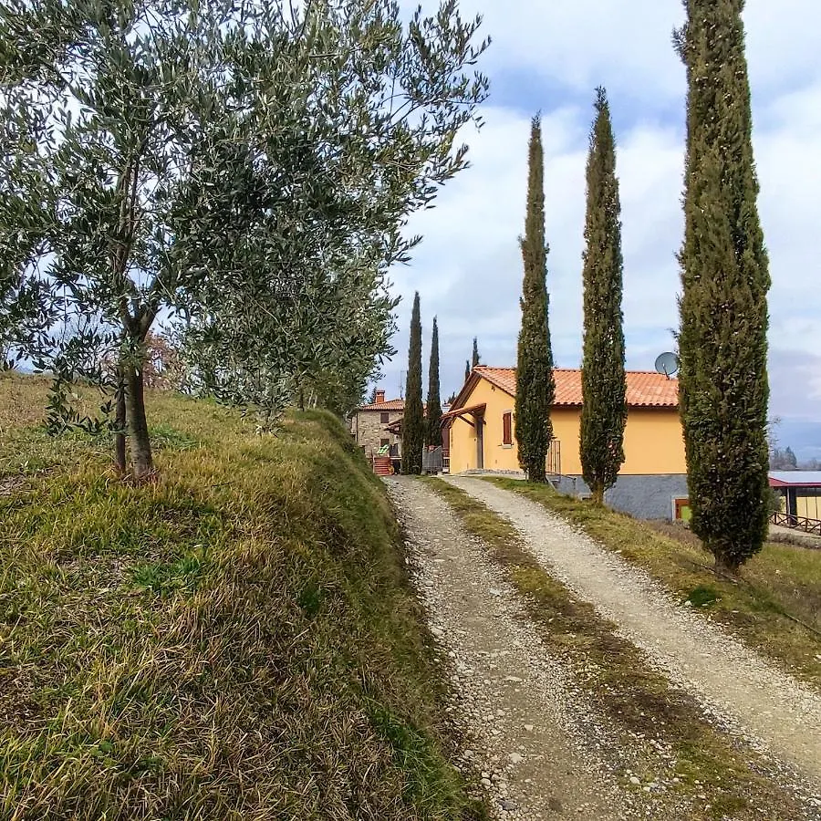 Cozy House In Caprese Michelangelo With Private Pool Villa